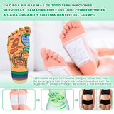 Parche Antivarices Kinoki